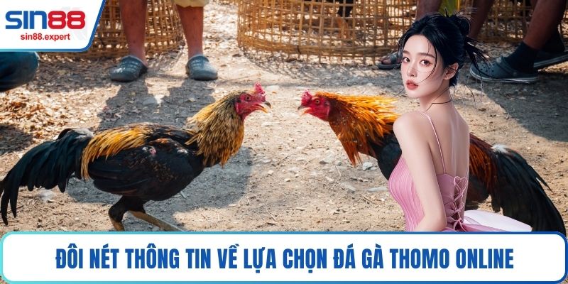 Đôi nét thông tin về lựa chọn đá gà Thomo online
