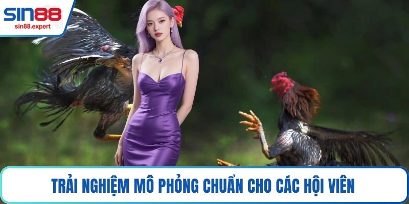 Trải nghiệm mô phỏng chuẩn cho các hội viên